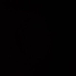 Meet your Posher, Jameson